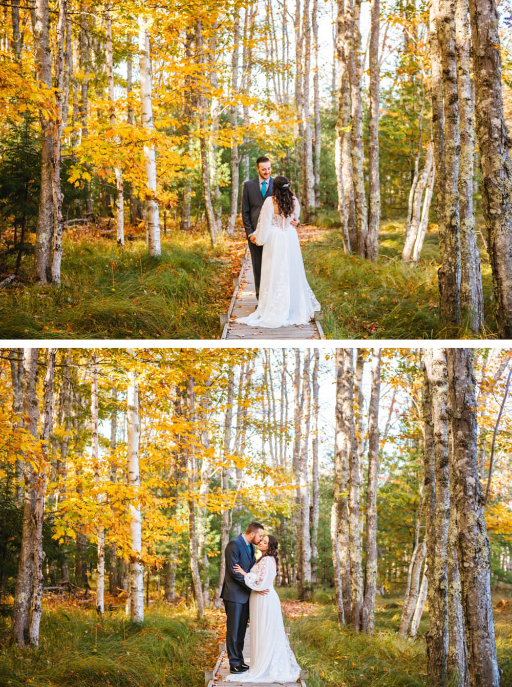 Acadia National Park Elopement