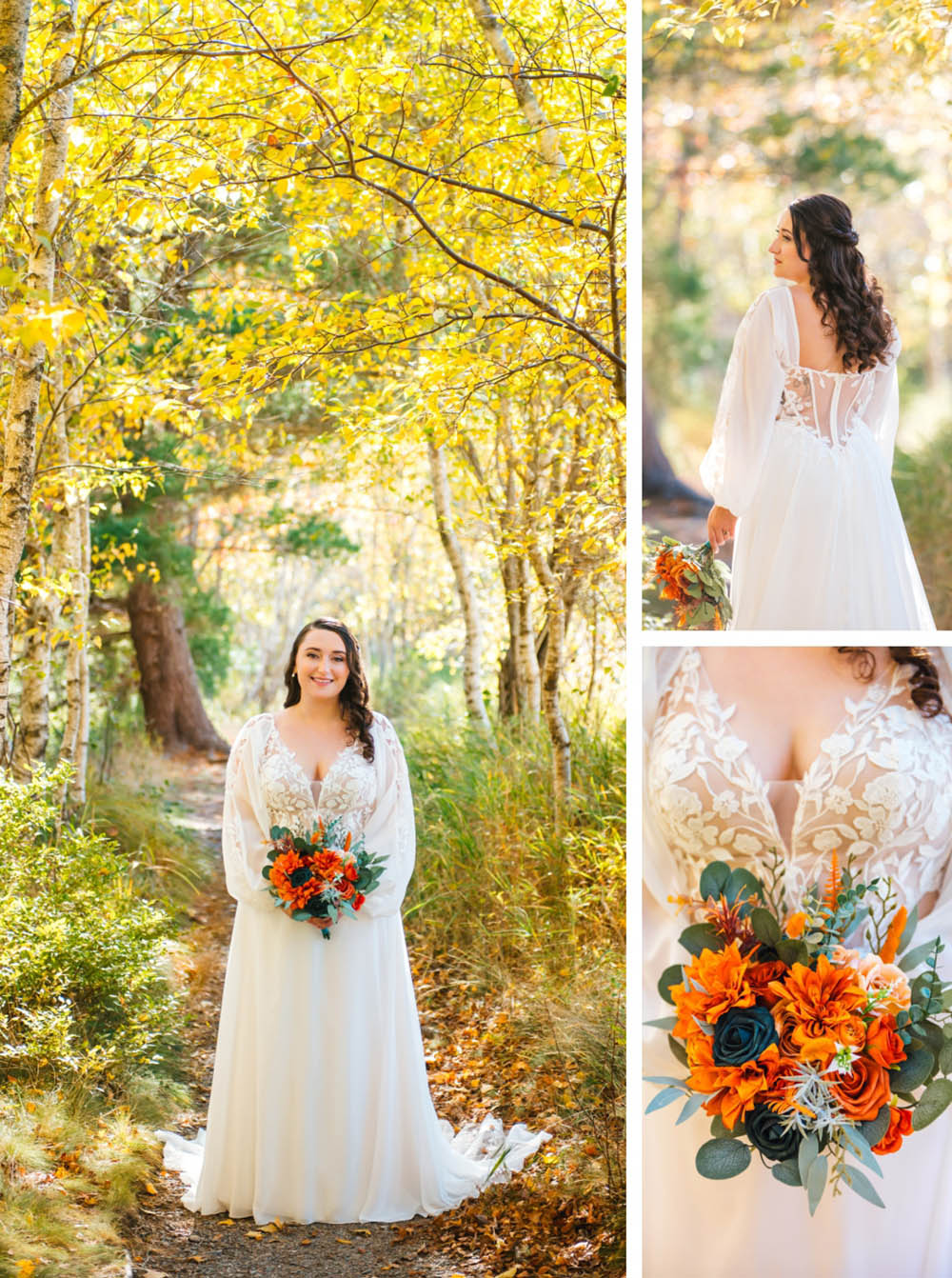 Acadia National Park Elopement