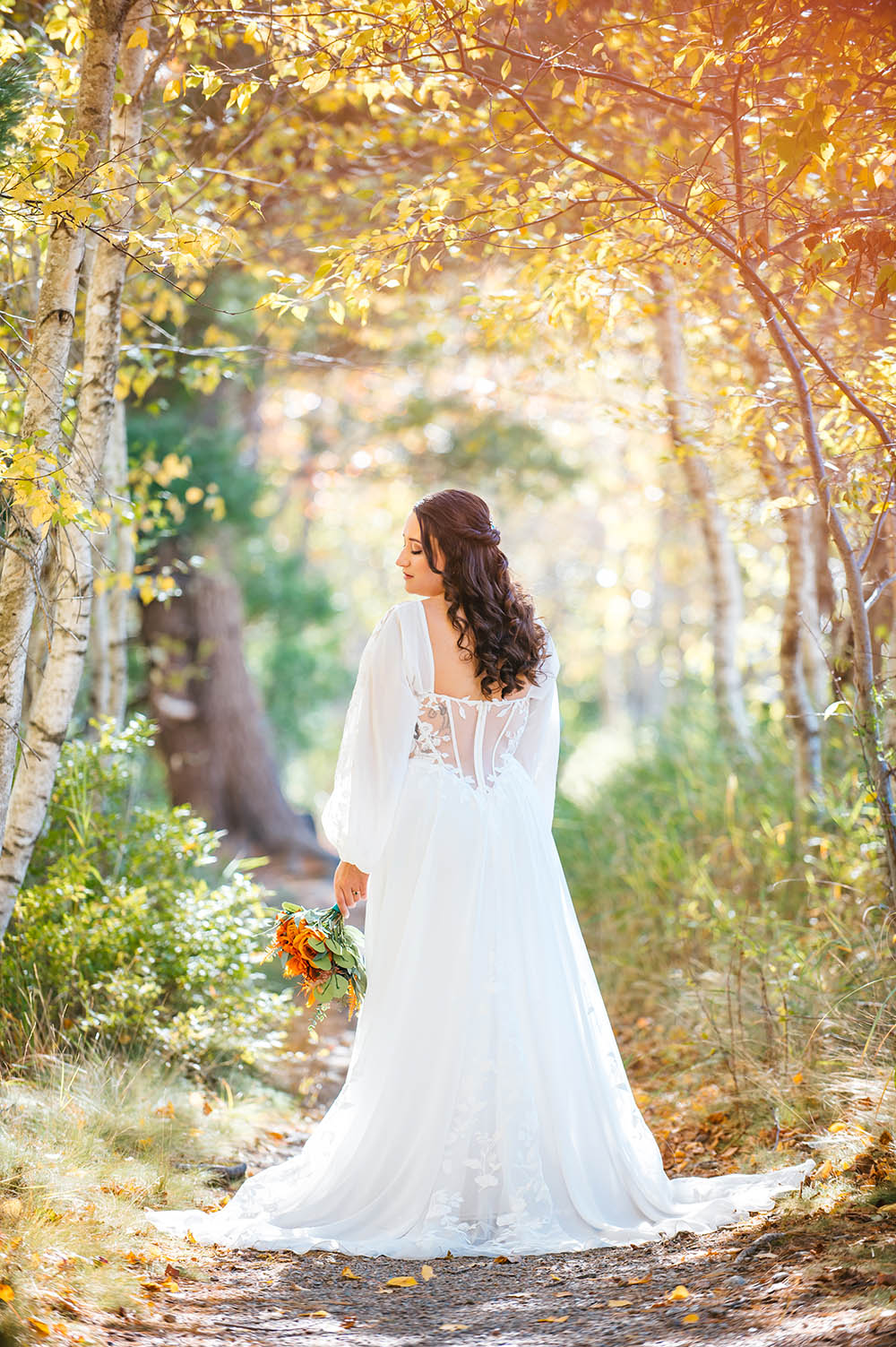 Acadia National Park Elopement